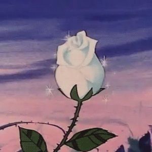 Meet your Posher, Keira